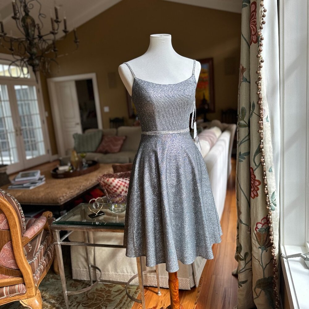 ALICE PARIS Silver Metallic Fit & Flare Dress - Style 1344 - Size 0 - NWT